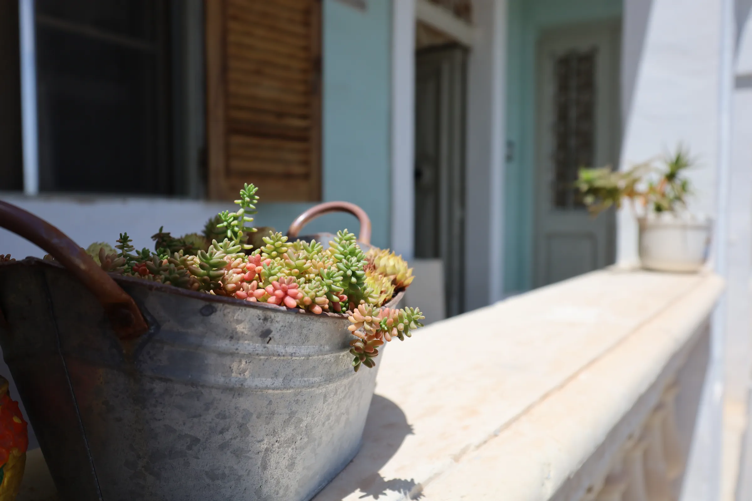Succulents in a tin pail on a limestone balcony, beside timber shutters